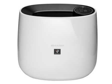 Sharp FP-J31RB